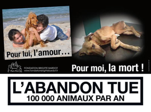 La SPA lance un spot contre les abandons