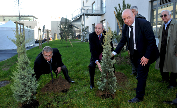 4. Mise en terre d’un conifère, Cyprès de l’arizona fastigié, par Gérard Collomb et Alain Giordano