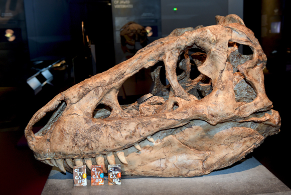 33. Denver le dernier Dinosaure