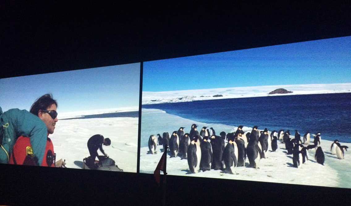 Musée des Confluences. Antarctica, un voyage au bout du monde