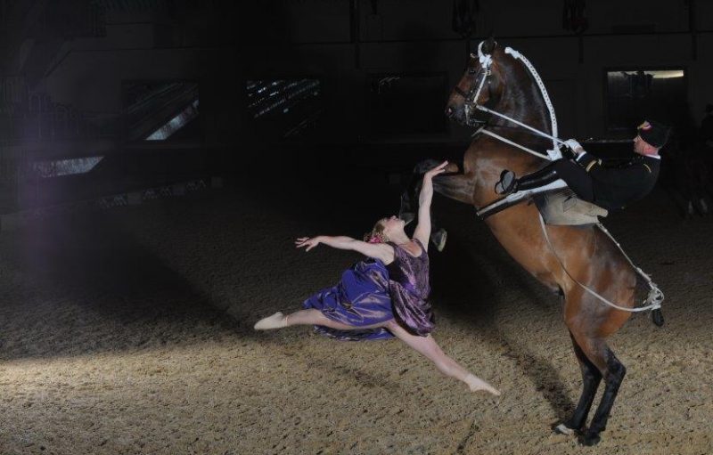 Equita Lyon. Le Cadre Noir entre dans la danse