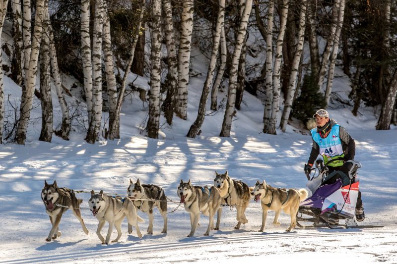 La Grande Odyssée 2019 2