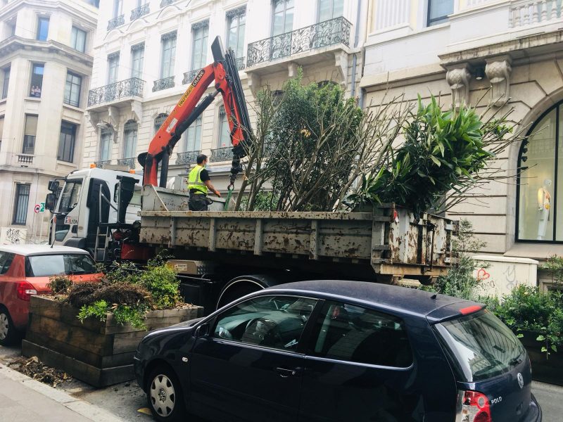 Lyon coronavirus. Démontage express des bacs à fleurs de la rue Edouard Herriot