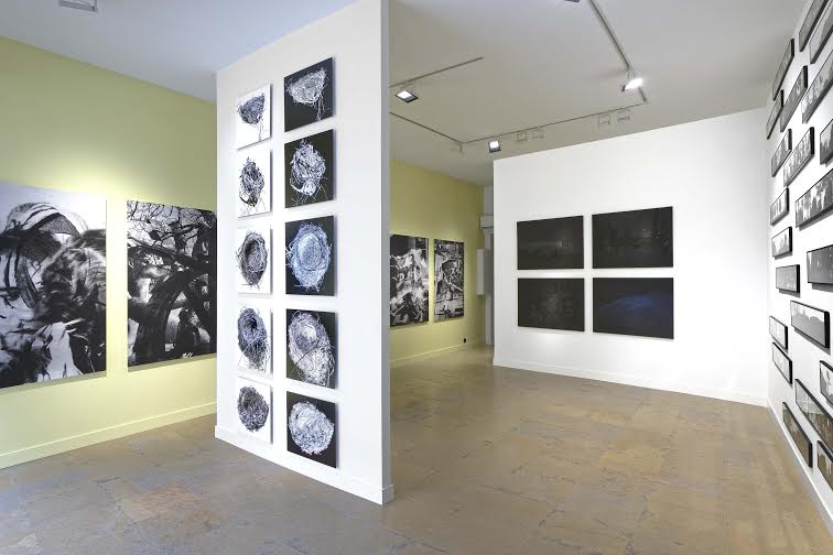 Lyon. Le photographe Blaise Adilon expose sous le regard de Thierry ...