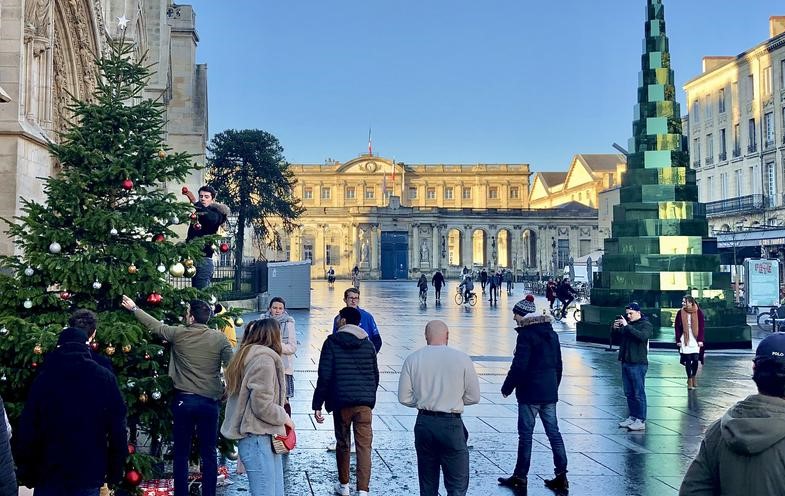 A Lyon, comme dans toutes les villes écolos, Noël, ça sent le sapin !