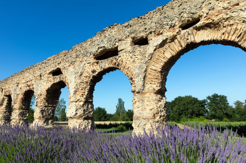 Programmation estivale du Rhône. Nos régions ont de la ressource !