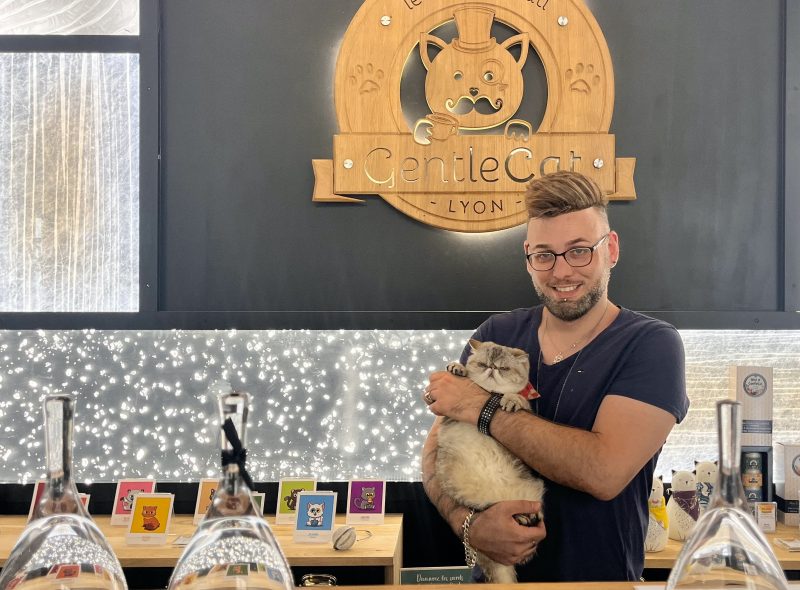 Lyon. Gentlecat, le salon de thé préféré des chats lyonnais