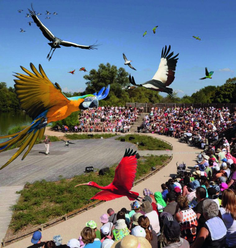 Loisirs d’été près de Lyon. Parc des Oiseaux, le ciel est leur domaine exclusif