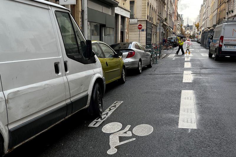 Lyon. Les vignettes de stationnement résidentiel dans le collimateur des écologistes