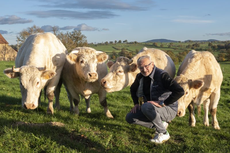 Halles de Lyon. Excursion dans le Charolais avec le boucher Didier Massot en mode sourcing