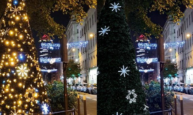 Lyon. Les activistes écologistes ne font pas de cadeau aux illuminations de Noël