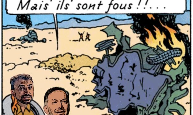Lyon  L’ultra gauche attaque des mairies… tenues par leurs alliés écologistes
