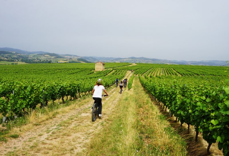 Rhône Tourisme. En été, fais ce qu’il te plait !