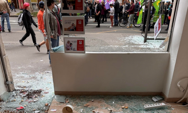 Manif du 1er mai à Lyon. L’artiste peintre Tchoul toujours choquée après le vol et la destruction de ses œuvres