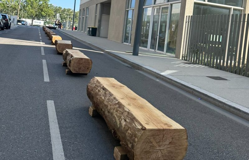 Lyon. Les bucherons écologistes sont (toujours) la risée des internautes