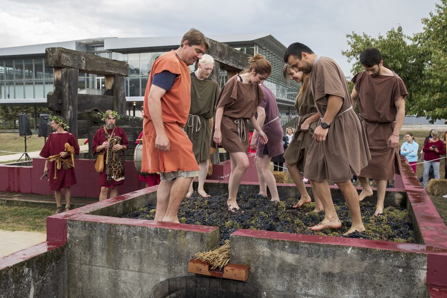 Près de Lyon. Vinalia, le festival des cultures gastronomiques qui donne l’eau à la bouche