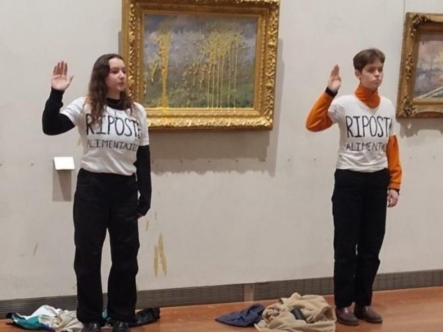 Musée de Lyon. Grégory Doucet aspergé par les internautes pour avoir cautionné la soup’ action des écologistes.