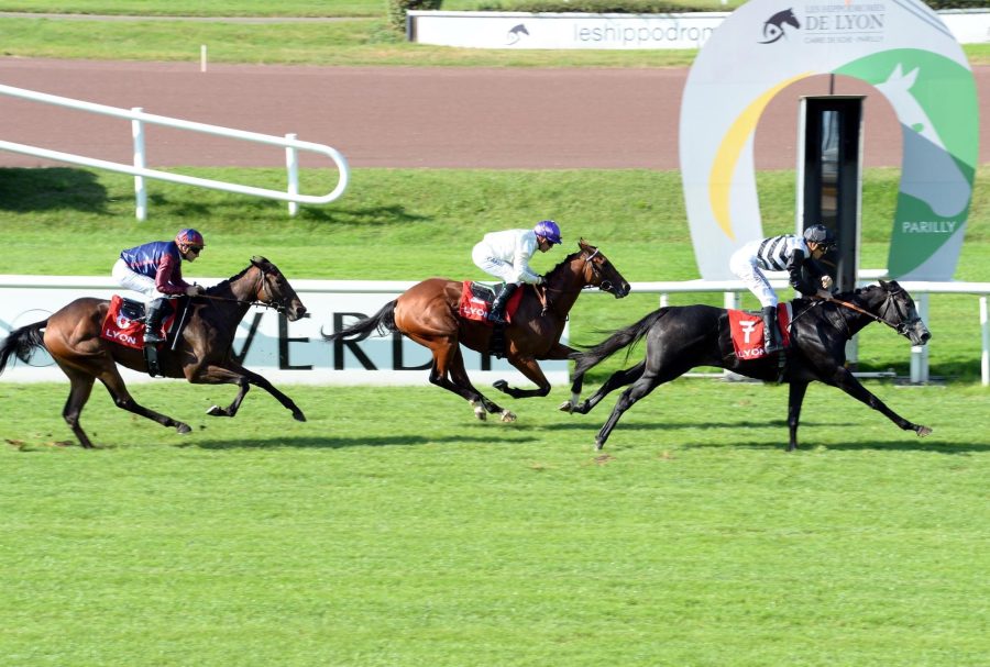 En 2024, les Hippodromes de Lyon veulent repartir au grand galop