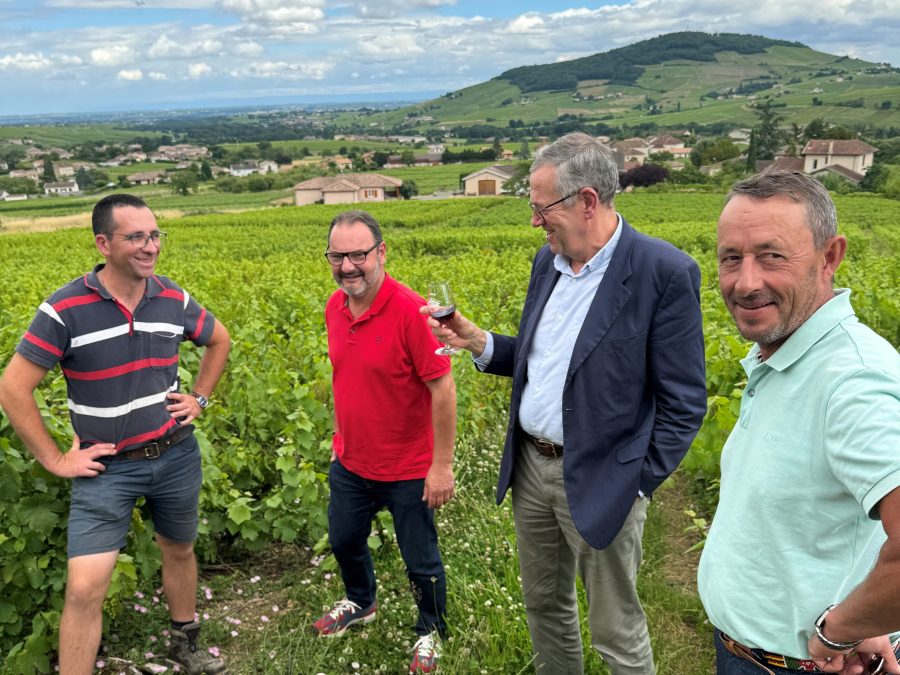Législatives 2024. Pourquoi les vignerons boivent les paroles de Jordan Bardella comme du petit lait