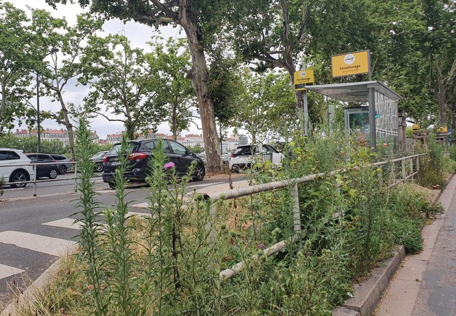 Lyon. Et pendant ce temps… la station de covoiturage du quai Gailleton est à l’abandon