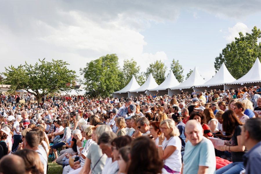 Eh Cherry festival 2025. La cerise sur un gros gâteau musical