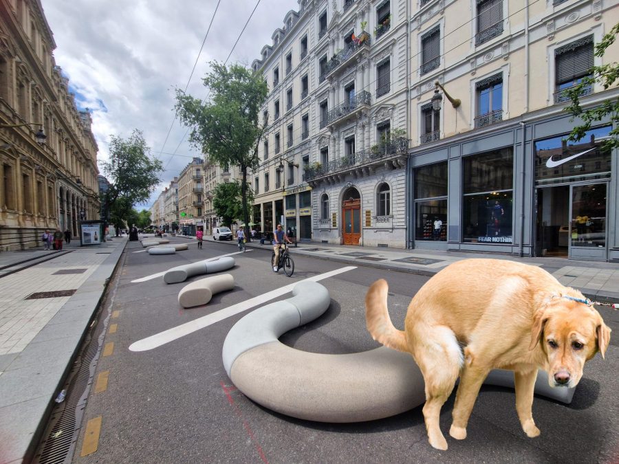 Lyon. Des colombins géants posés rue de la République