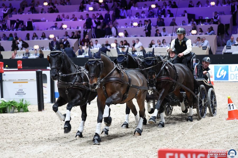 Equita Lyon 2025. Le salon du cheval veut sauter sur l’occasion