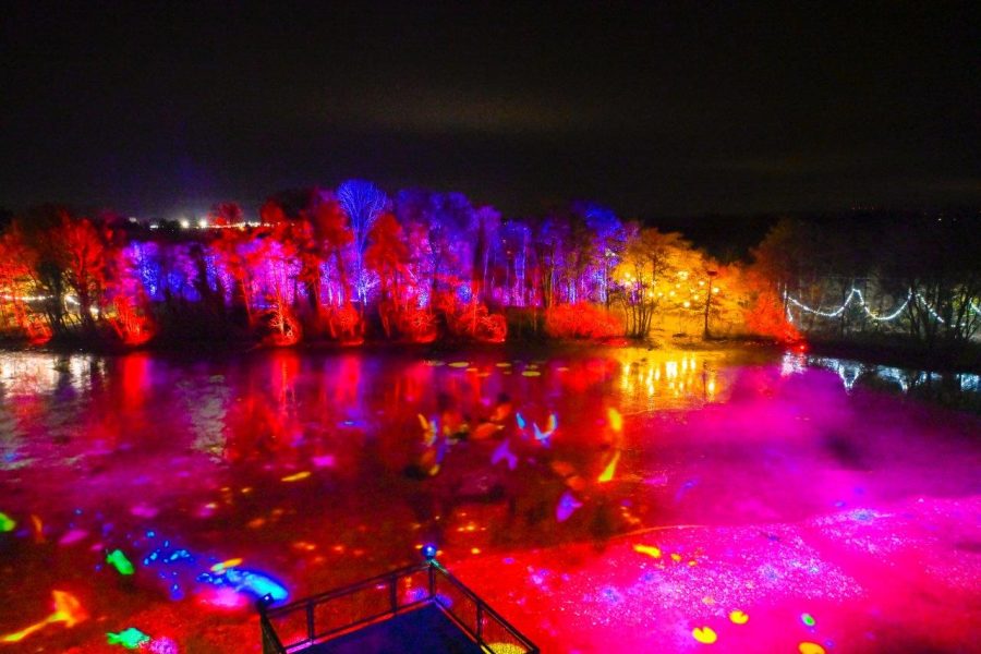 01 Parc Oiseau Novembre 2024©Jean-Luc Mege Photography-2054-1