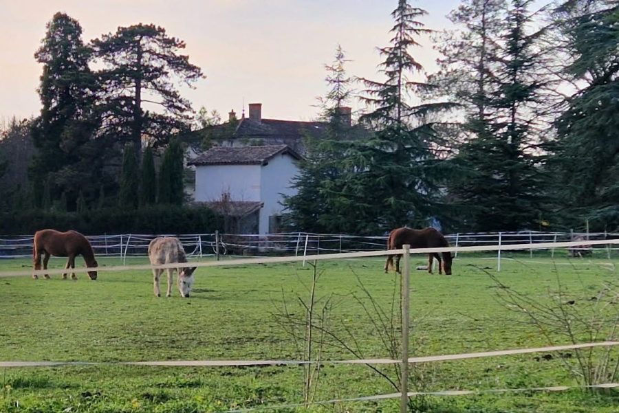 Un HLM va être construit dans le parc d’une propriété classée. Colère des habitants