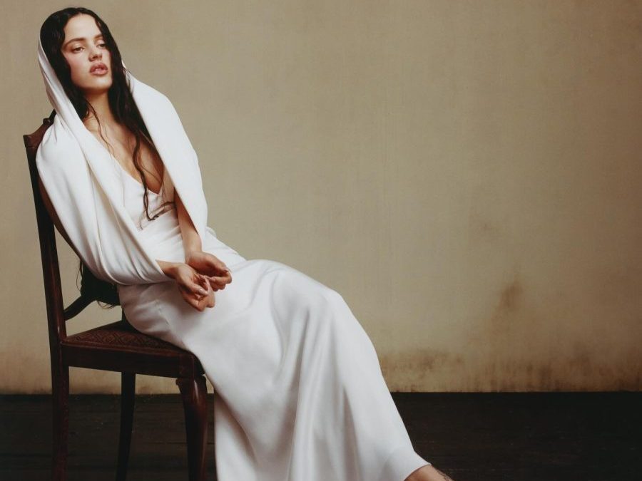 Près de Lyon. La LDLC Arena promet une année bouillante