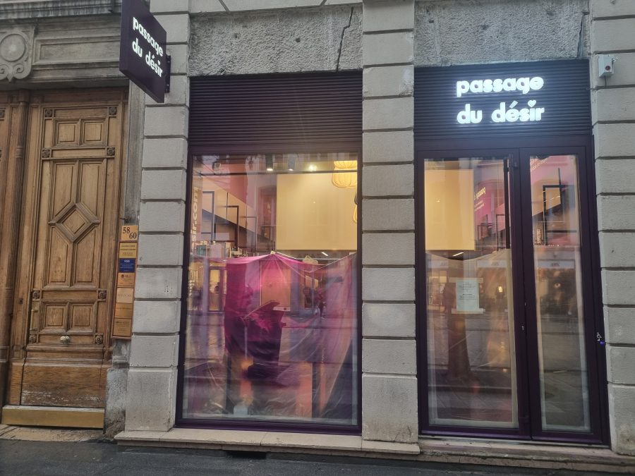 05 passage du désir rue de la République