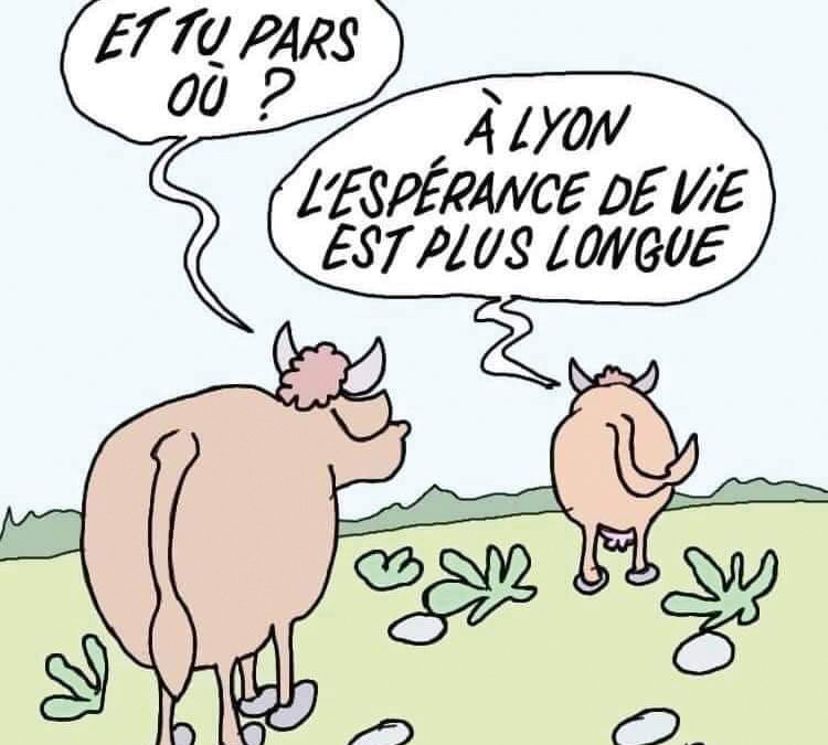 Top 20 des polémiques écologistes #04. La mairie impose les menus sans viandes dans les cantines