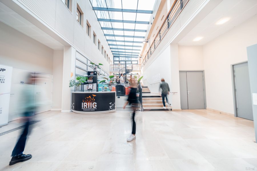 Formation à Lyon. IRIIG, l&rsquo;école 100% dédiée au management de l’innovation & de l’impact