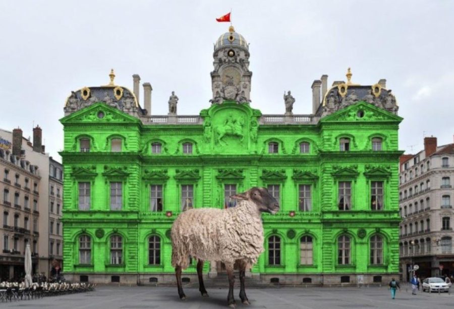 Second tour des élections municipales. Lyon retient son souffle.