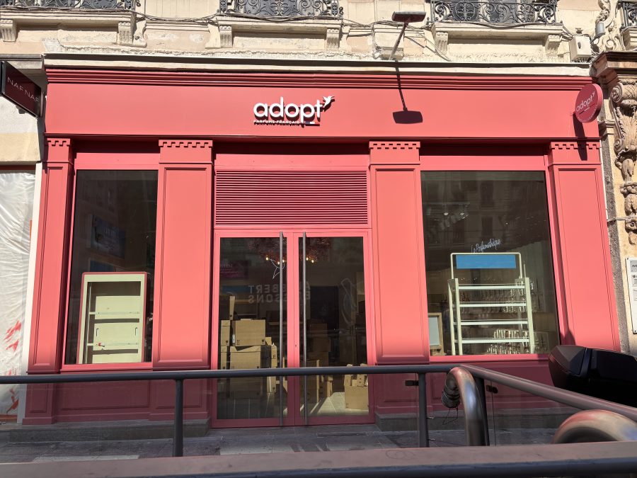 01 ADOPT lyon rue de la republique