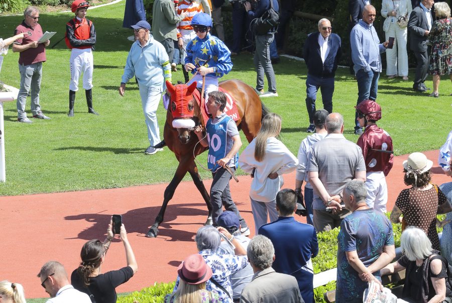 Tribunes VIP. Du beau monde pour applaudir Marie Velon, la petite reine de Parilly