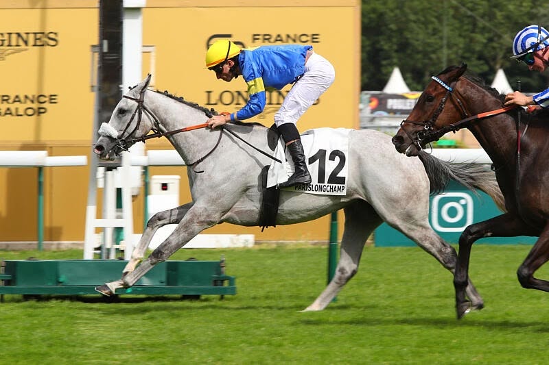 Longchamp. Le jour de gloire du Lyonnais Armand Mechali avec Grey Reign