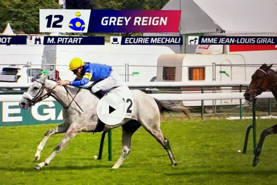 Longchamp. Le jour de gloire du Lyonnais Armand Mechali avec Grey Reign